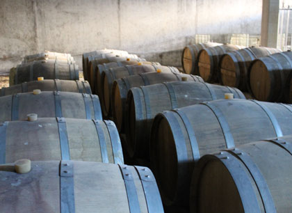 Barriques de vieillissement de Fine Bordeaux